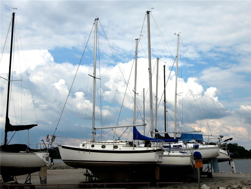 Photography by quin10 for DesignCrowd (Community Contests) | Design #9042819