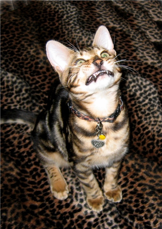 Photography by quin10 for DesignCrowd (Community Contests) | Design #9043024