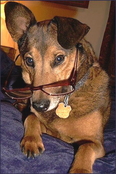 Photography by Keyivory for DesignCrowd (Community Contests) | Design #9043069