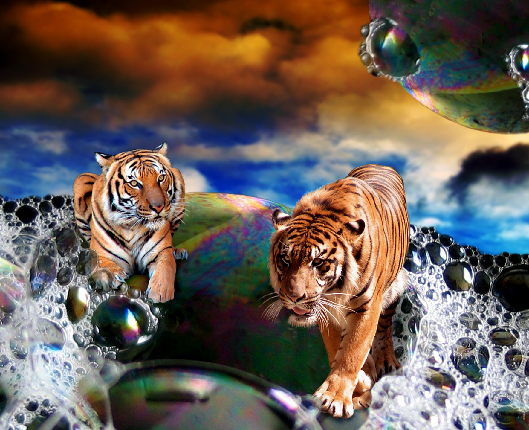 Diseño de Photoshop por Karrie para DesignCrowd (Community Contests) | Diseño #9037399