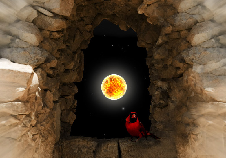 Photoshop Design by fotoshop for DesignCrowd (Community Contests) | Design #9037474