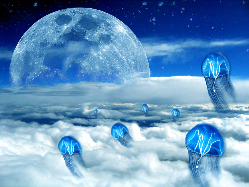 Photoshop Design by tragicomedy for DesignCrowd (Community Contests) | Design #9037513