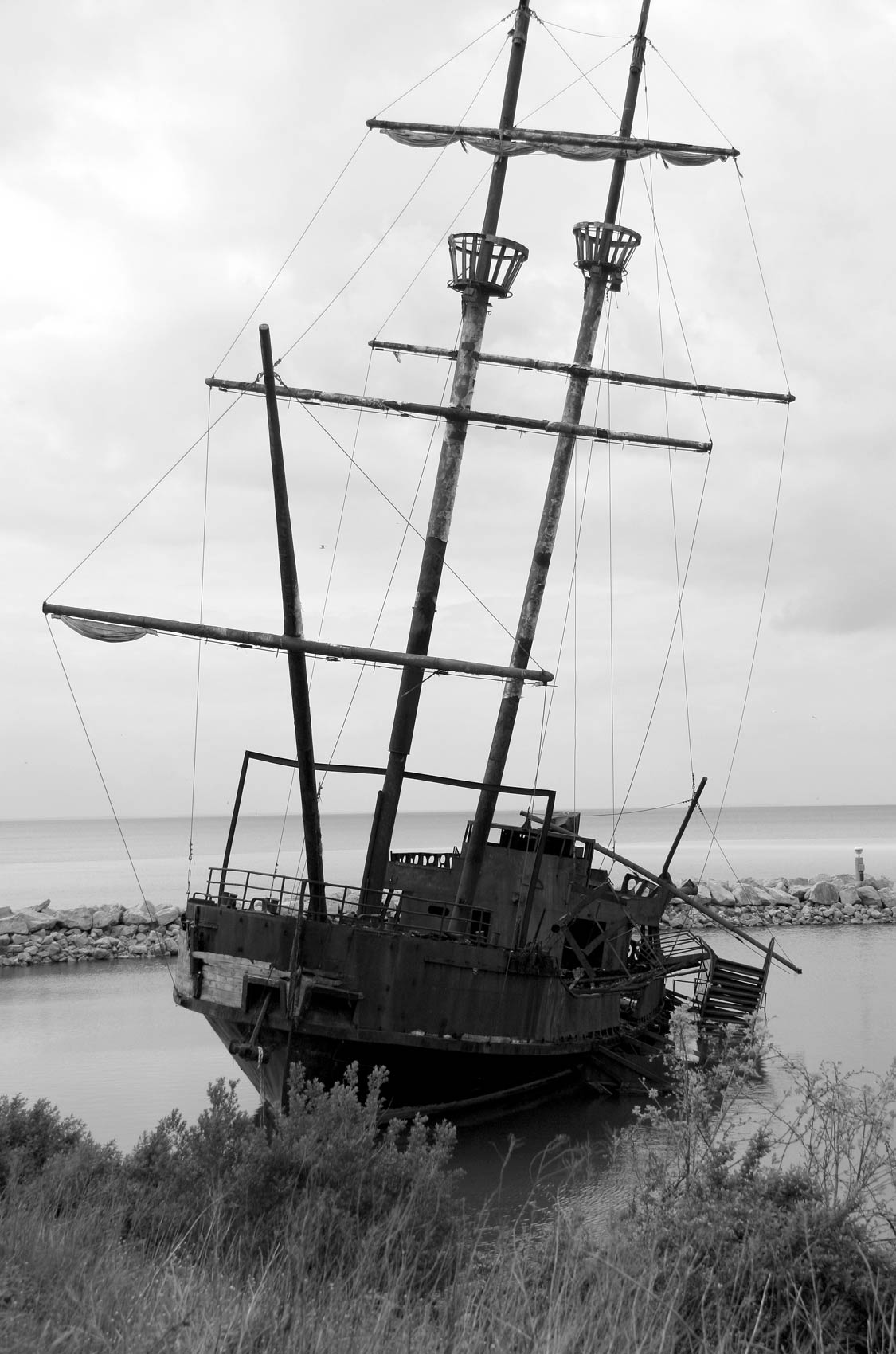 Fotografie von Megz117 für DesignCrowd (Community Contests) | Design #9042892