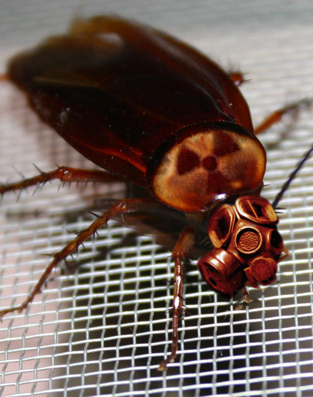 Photoshop Design by davidberettaowens for DesignCrowd (Community Contests) | Design #9035222