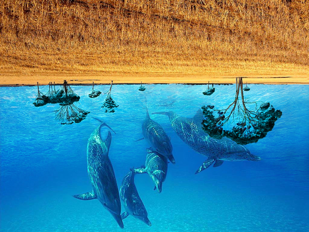 Photoshop Design by TheDewd for DesignCrowd (Community Contests) | Design #9037538