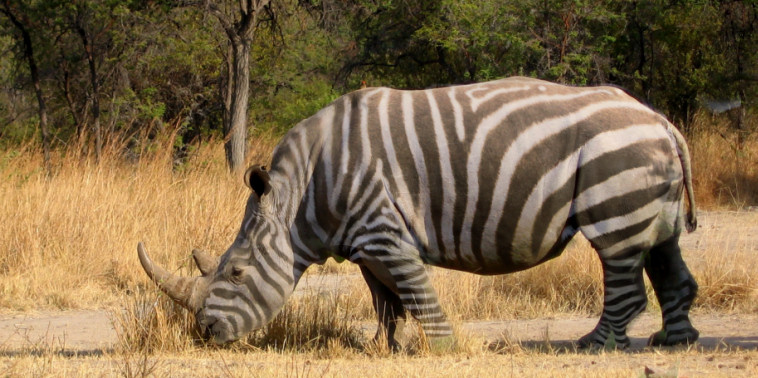 Design Photoshop par mirrorkills pour DesignCrowd (Community Contests) | Design #9035224