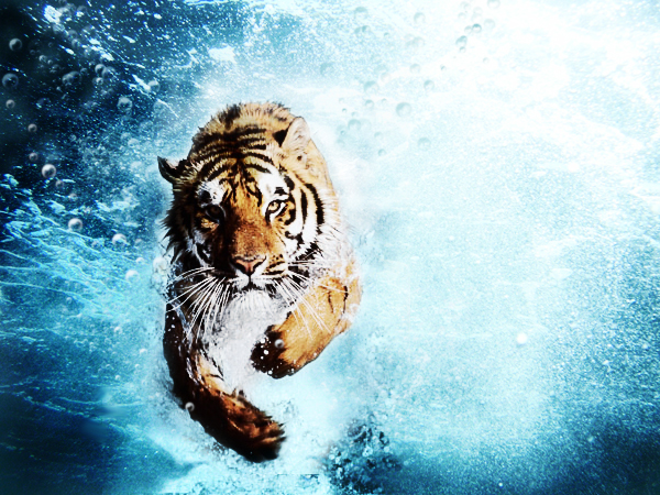 Design Photoshop par djenneke pour DesignCrowd (Community Contests) | Design #9037526