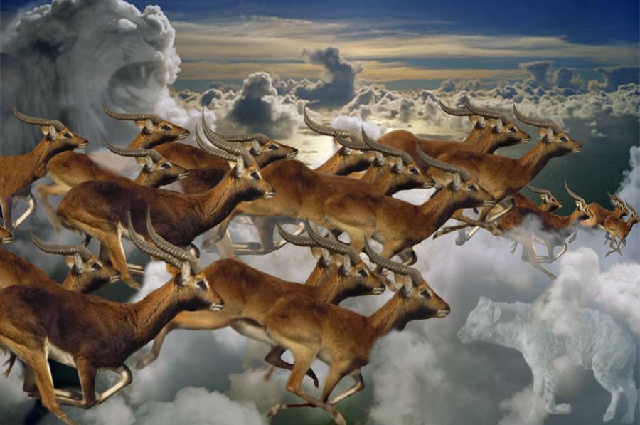 Diseño de Photoshop por EyEars para DesignCrowd (Community Contests) | Diseño #9037533