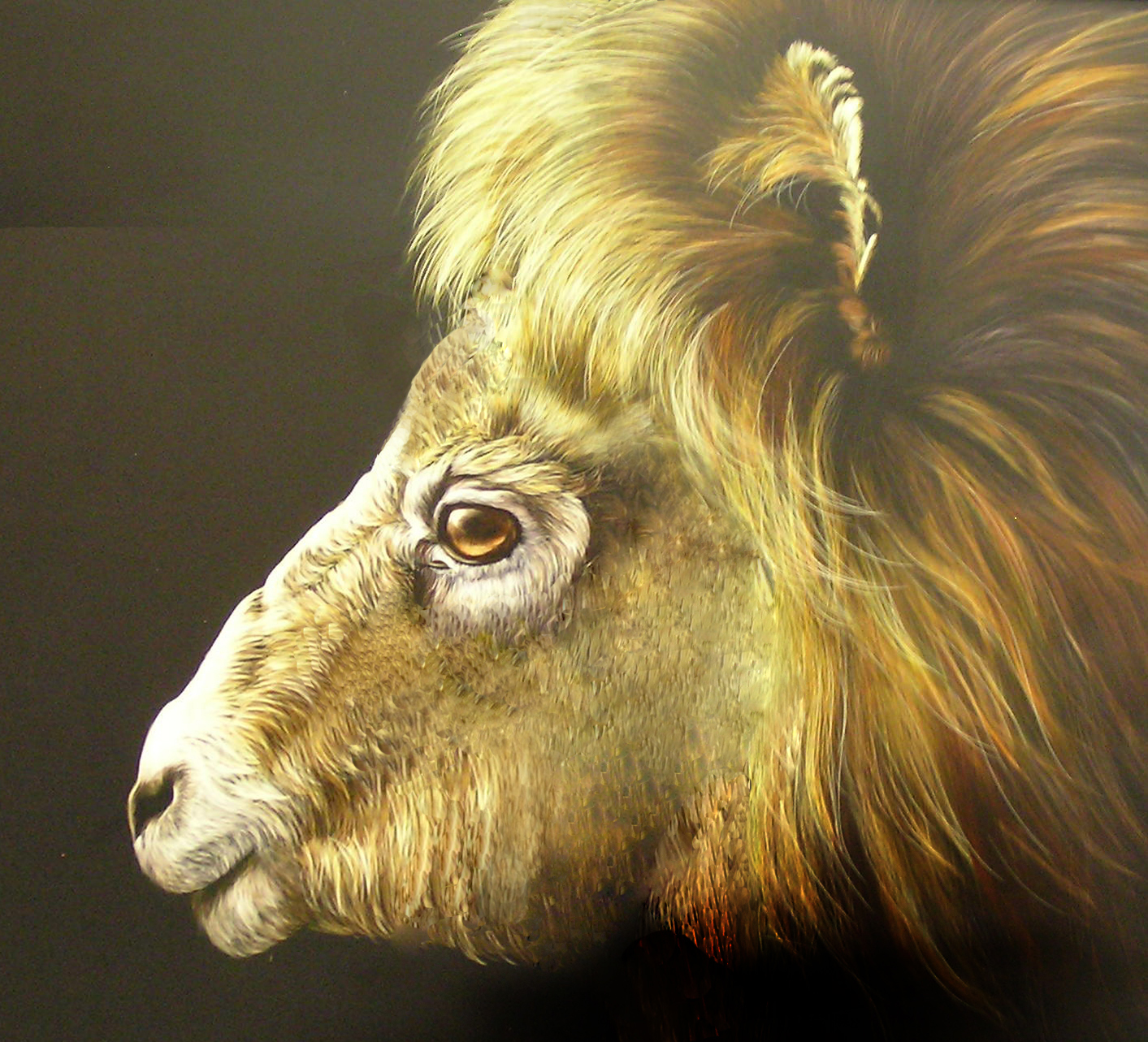 Photoshop Design by Occisor for DesignCrowd (Community Contests) | Design #9035234