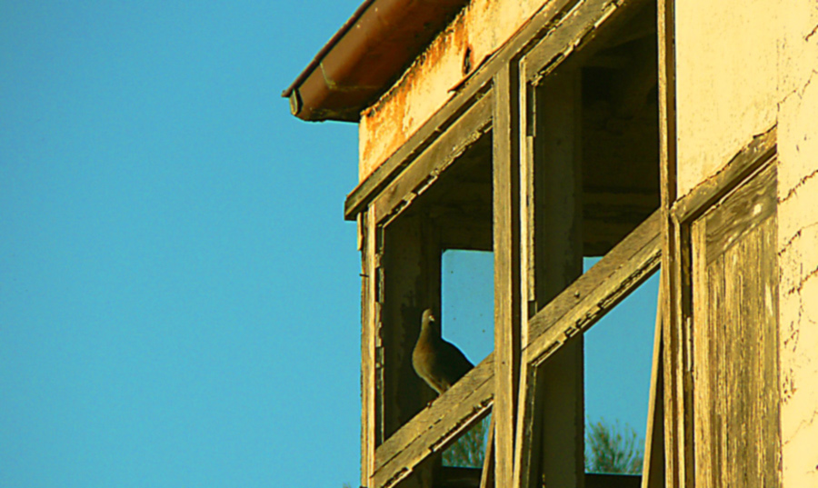 Photographie par gymp93 pour DesignCrowd (Community Contests) | Design #9043507