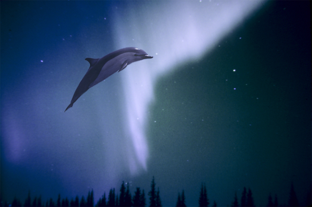 Photoshop-Design von PhoenixRose für DesignCrowd (Community Contests) | Design #9037468