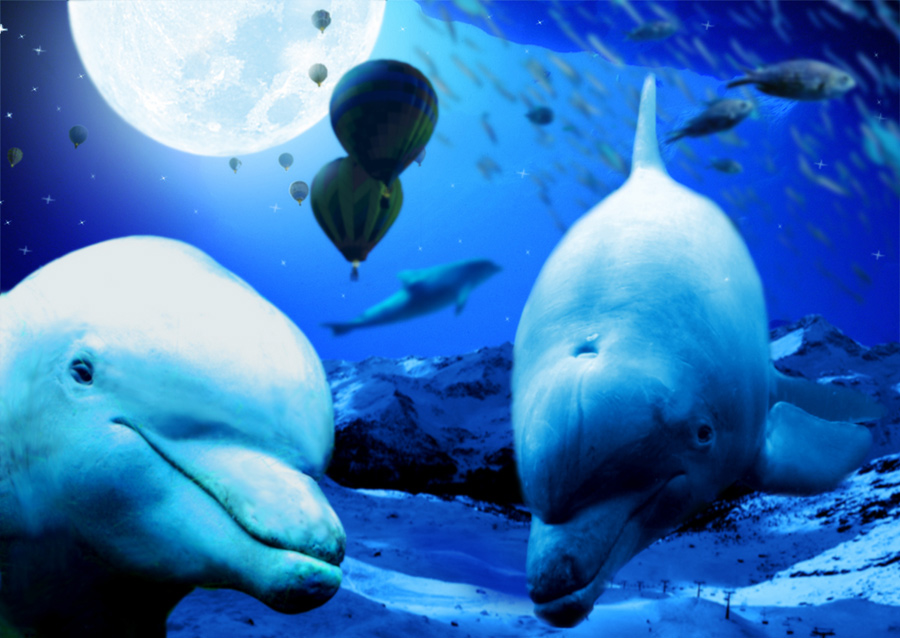 Photoshop Design by bananasfritters for DesignCrowd (Community Contests) | Design #9037627