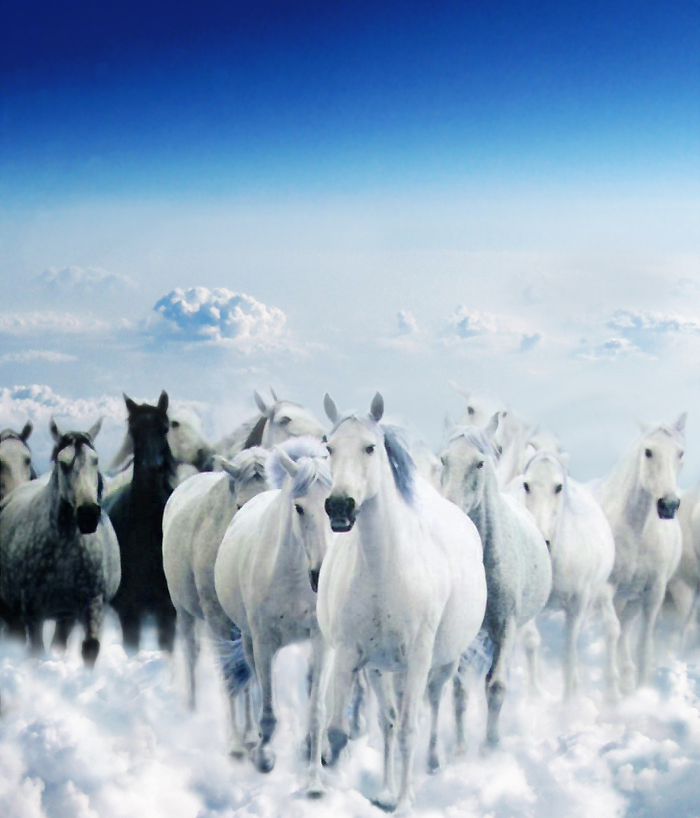 Photoshop Design by stinkobinko for DesignCrowd (Community Contests) | Design #9037416