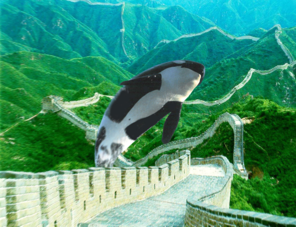 Photoshop Design by Reizvolle for DesignCrowd (Community Contests) | Design #9037605