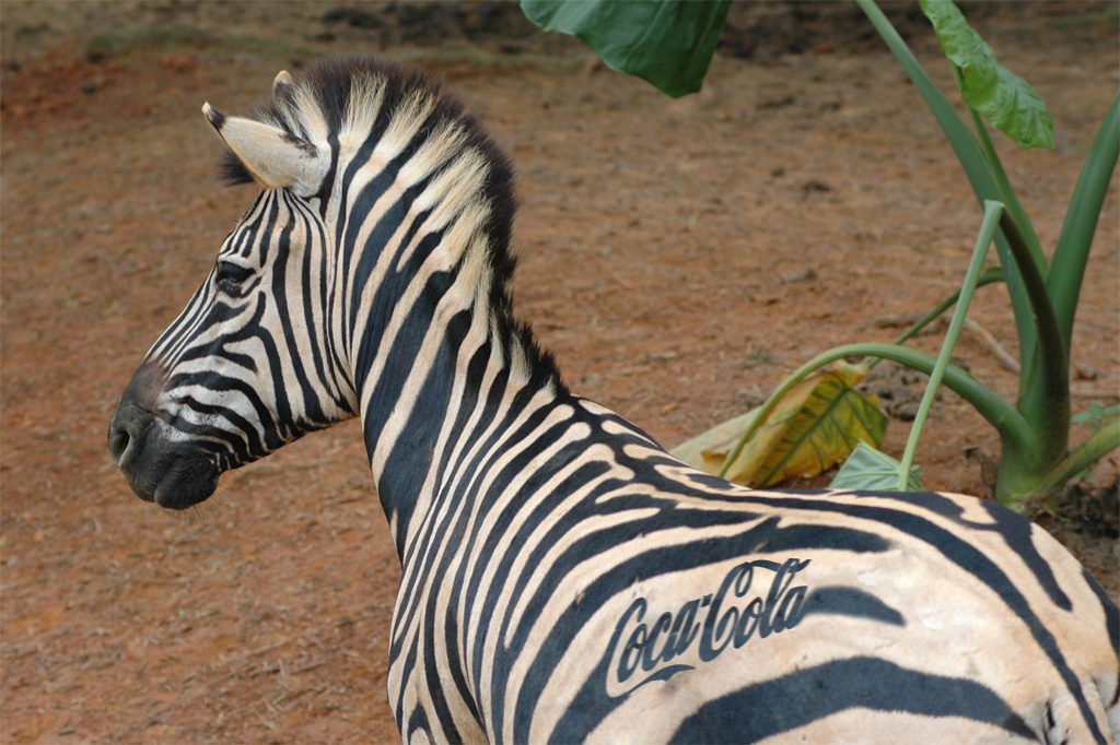 Photoshop Design by gcannar for DesignCrowd (Community Contests) | Design #9035241