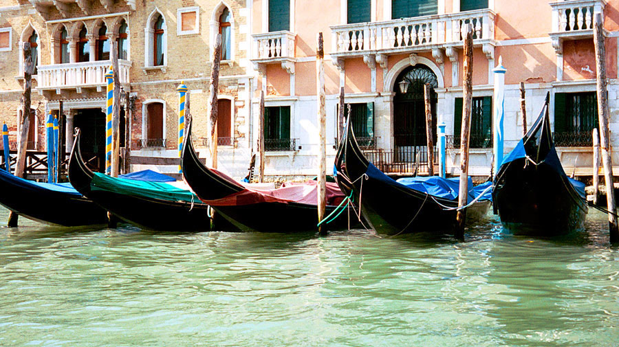 Fotografía por Exaspera para DesignCrowd (Community Contests) | Diseño #9042858