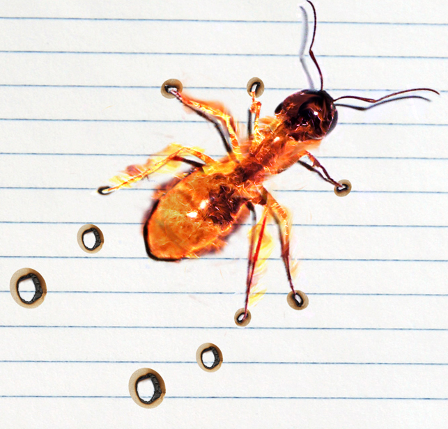 Diseño de Photoshop por worldtraveler666 para DesignCrowd (Community Contests) | Diseño #9035263