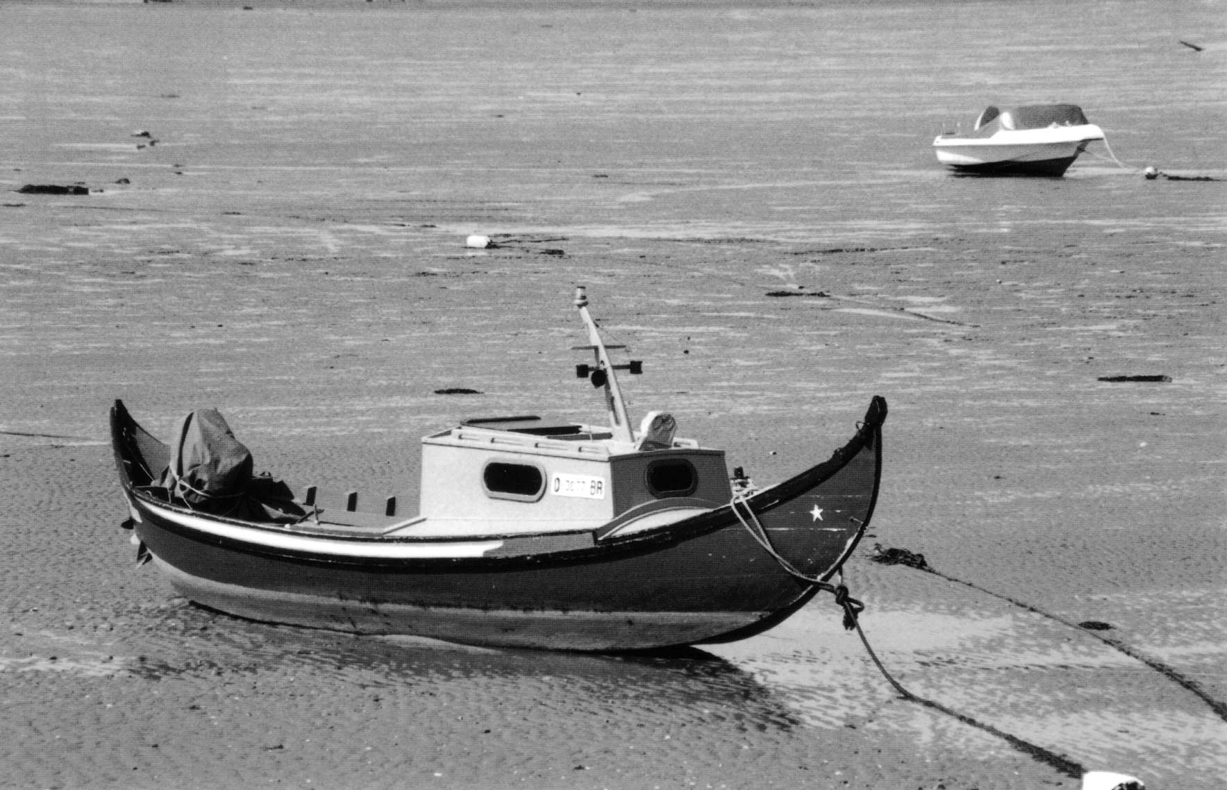 Photography by Xivasan for DesignCrowd (Community Contests) | Design #9042873