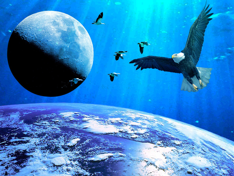 Design Photoshop par frankenstijn pour DesignCrowd (Community Contests) | Design #9037507