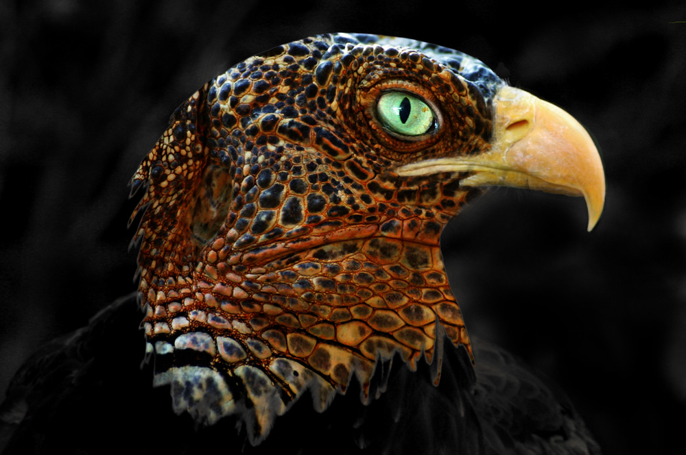 Photoshop-Design von Bigwater für DesignCrowd (Community Contests) | Design #9035255