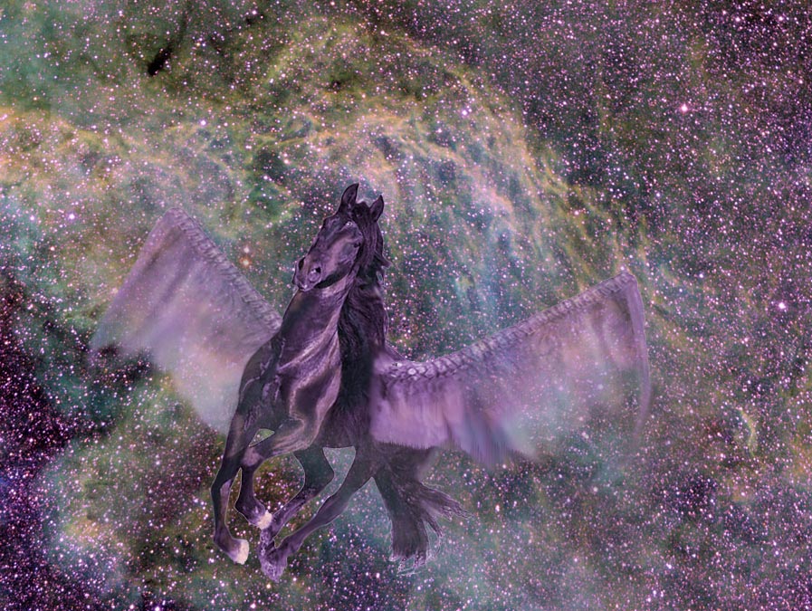 Design Photoshop par TimeTraveler pour DesignCrowd (Community Contests) | Design #9037701