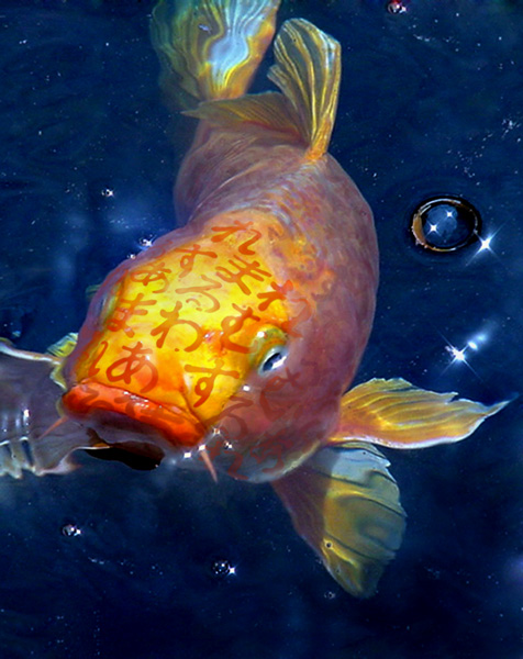 Photoshop Design by lindon for DesignCrowd (Community Contests) | Design #9035328