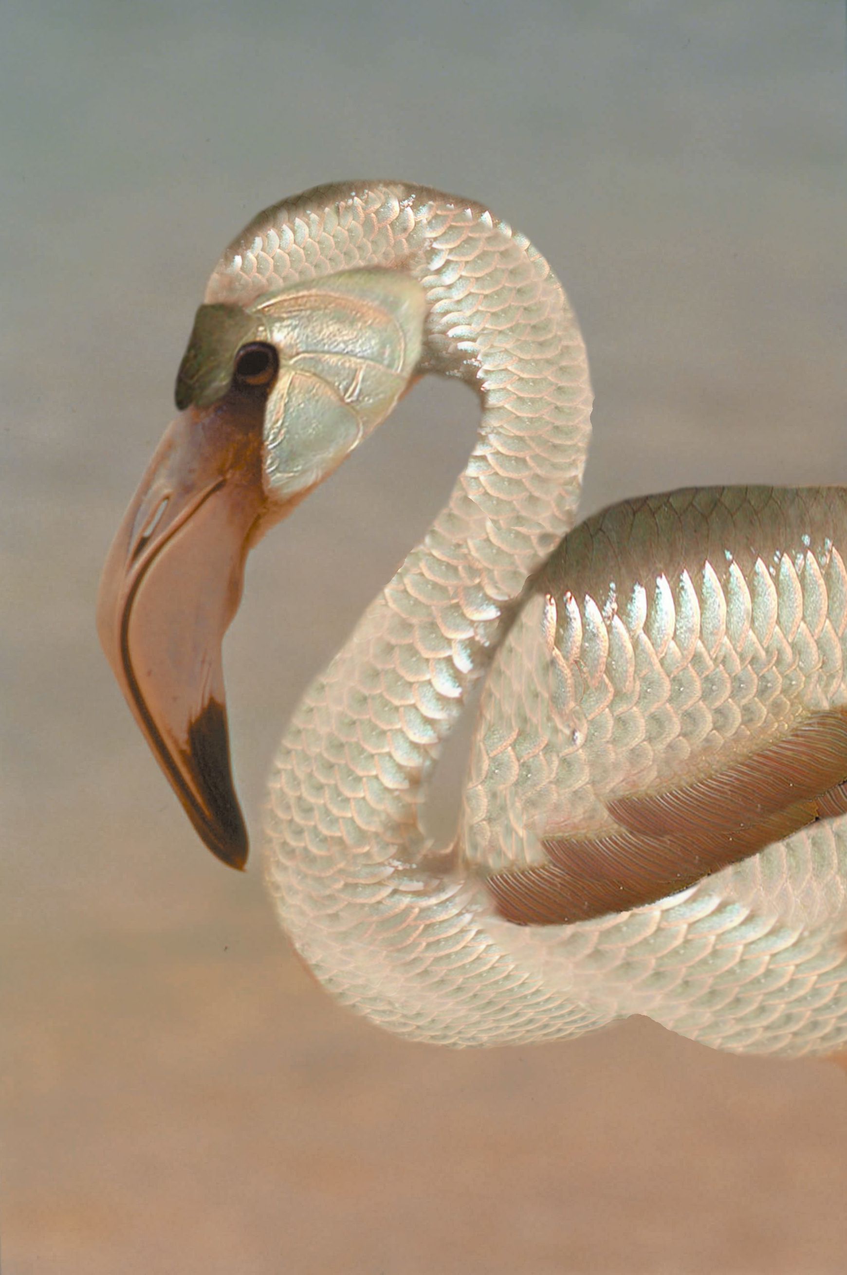 Diseño de Photoshop por Louweasel para DesignCrowd (Community Contests) | Diseño #9035313