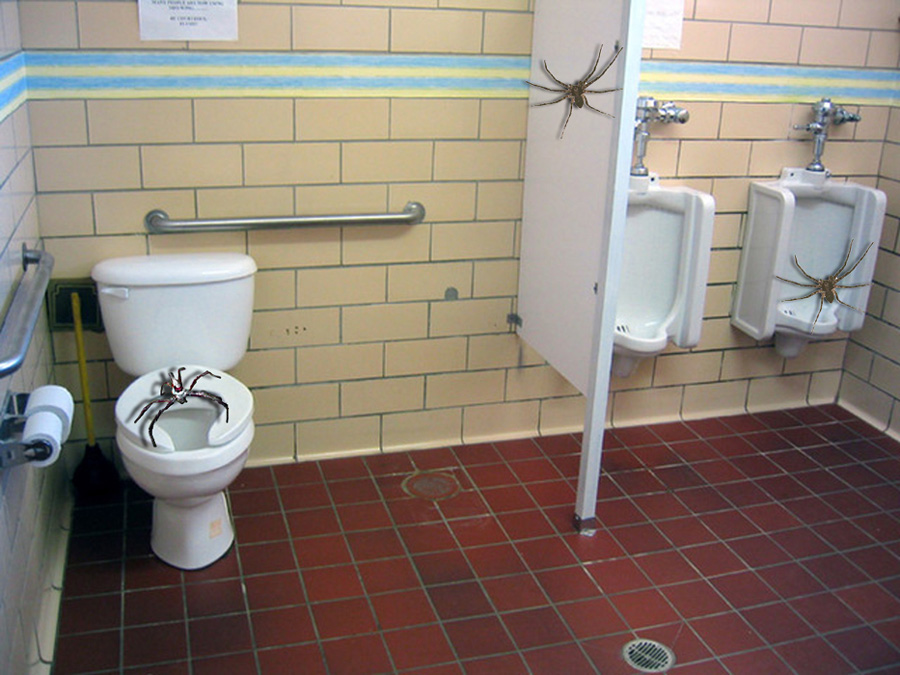 Photoshop-Design von dfwsusan für DesignCrowd (Community Contests) | Design #9041931