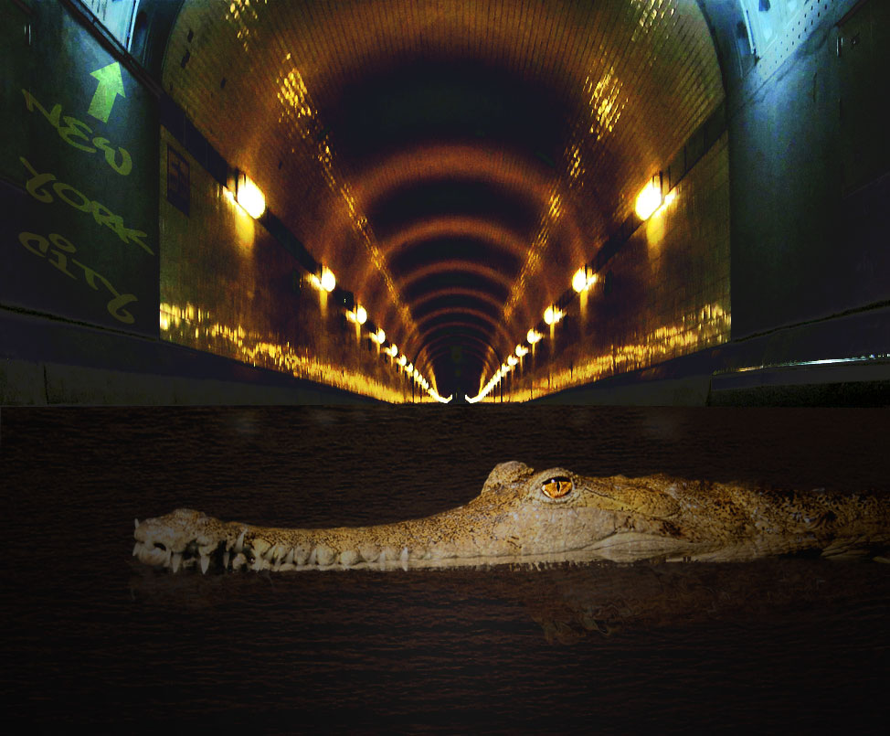 Diseño de Photoshop por mattbyng para DesignCrowd (Community Contests) | Diseño #9041958