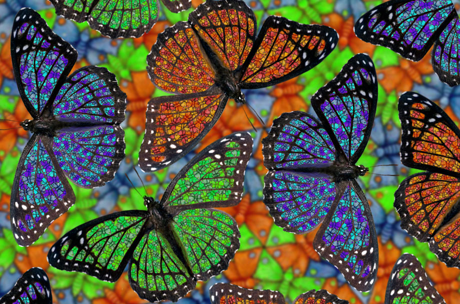 Photoshop Design by Calaveras for DesignCrowd (Community Contests) | Design #9035347