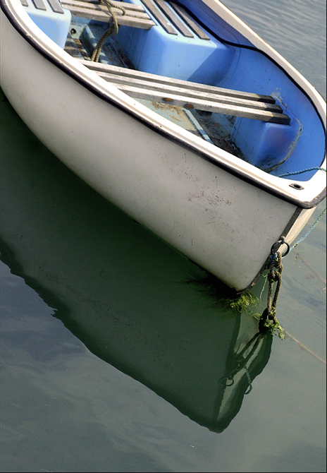 Fotografie von Flibble für DesignCrowd (Community Contests) | Design #9042929