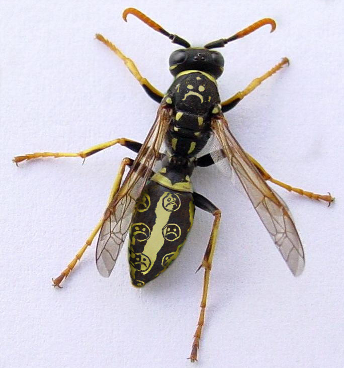 Photoshop Design by johndiablo for DesignCrowd (Community Contests) | Design #9035324