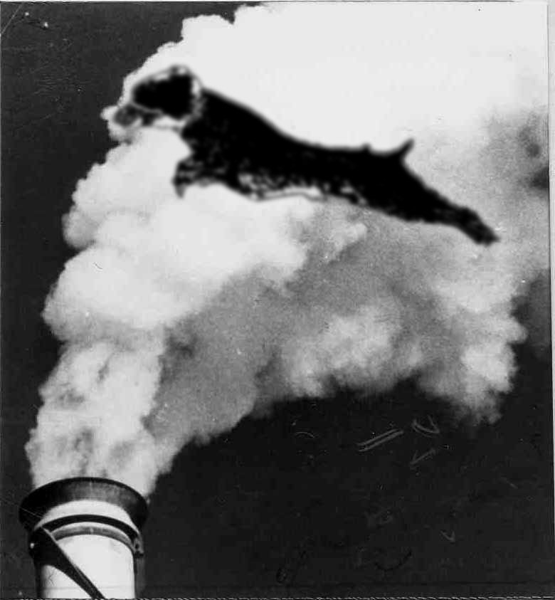 Photoshop Design by tomtomass for DesignCrowd (Community Contests) | Design #9045612