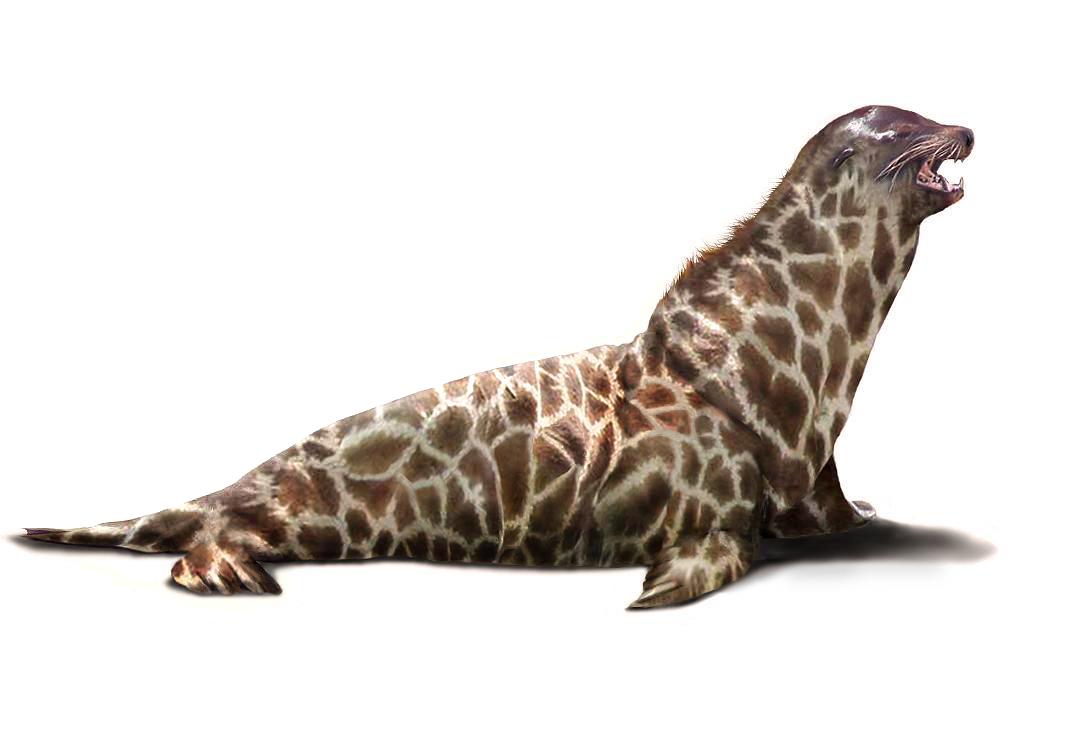 Diseño de Photoshop por sugarcane para DesignCrowd (Community Contests) | Diseño #9035435