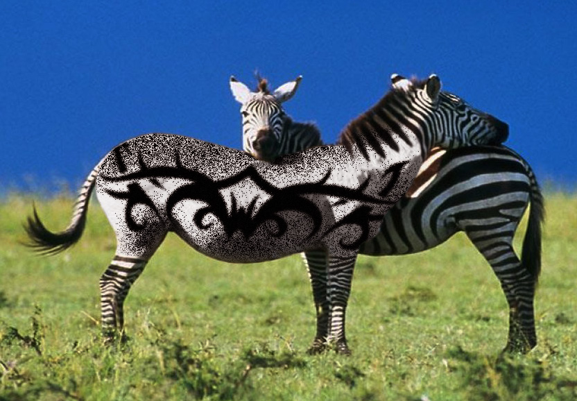 Photoshop Design by johnybb for DesignCrowd (Community Contests) | Design #9035454