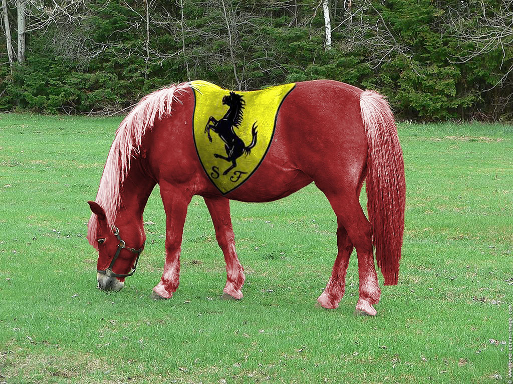 Photoshop Design by khameir for DesignCrowd (Community Contests) | Design #9035432