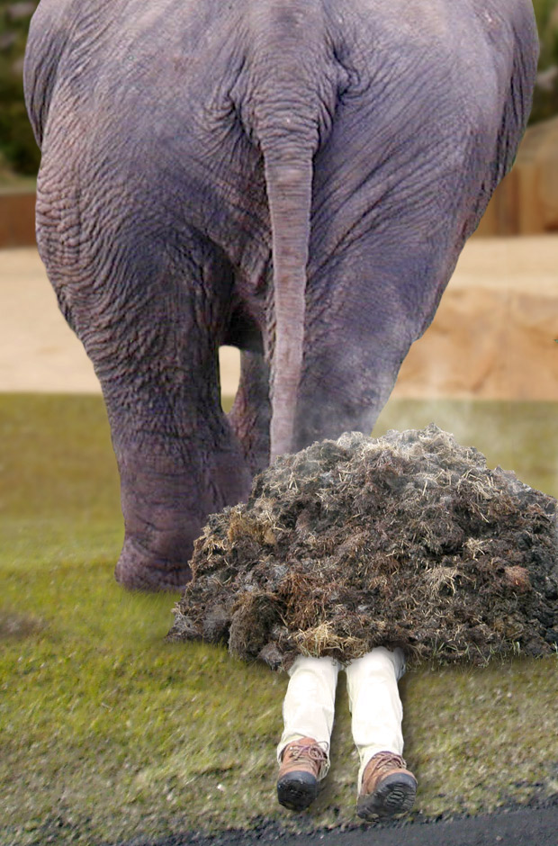 Photoshop Design by ozplasmic for DesignCrowd (Community Contests) | Design #9041985