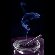 Photoshop Design by juicetank