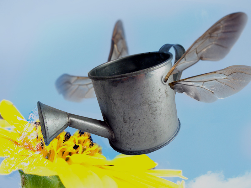 Photoshop Design by CharlesFBI for DesignCrowd (Community Contests) | Design #9043704