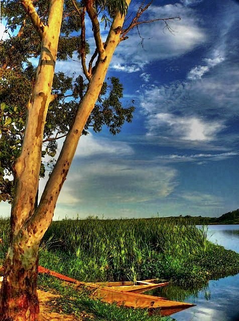 Fotografía por resouzaesouza para DesignCrowd (Community Contests) | Diseño #9043038