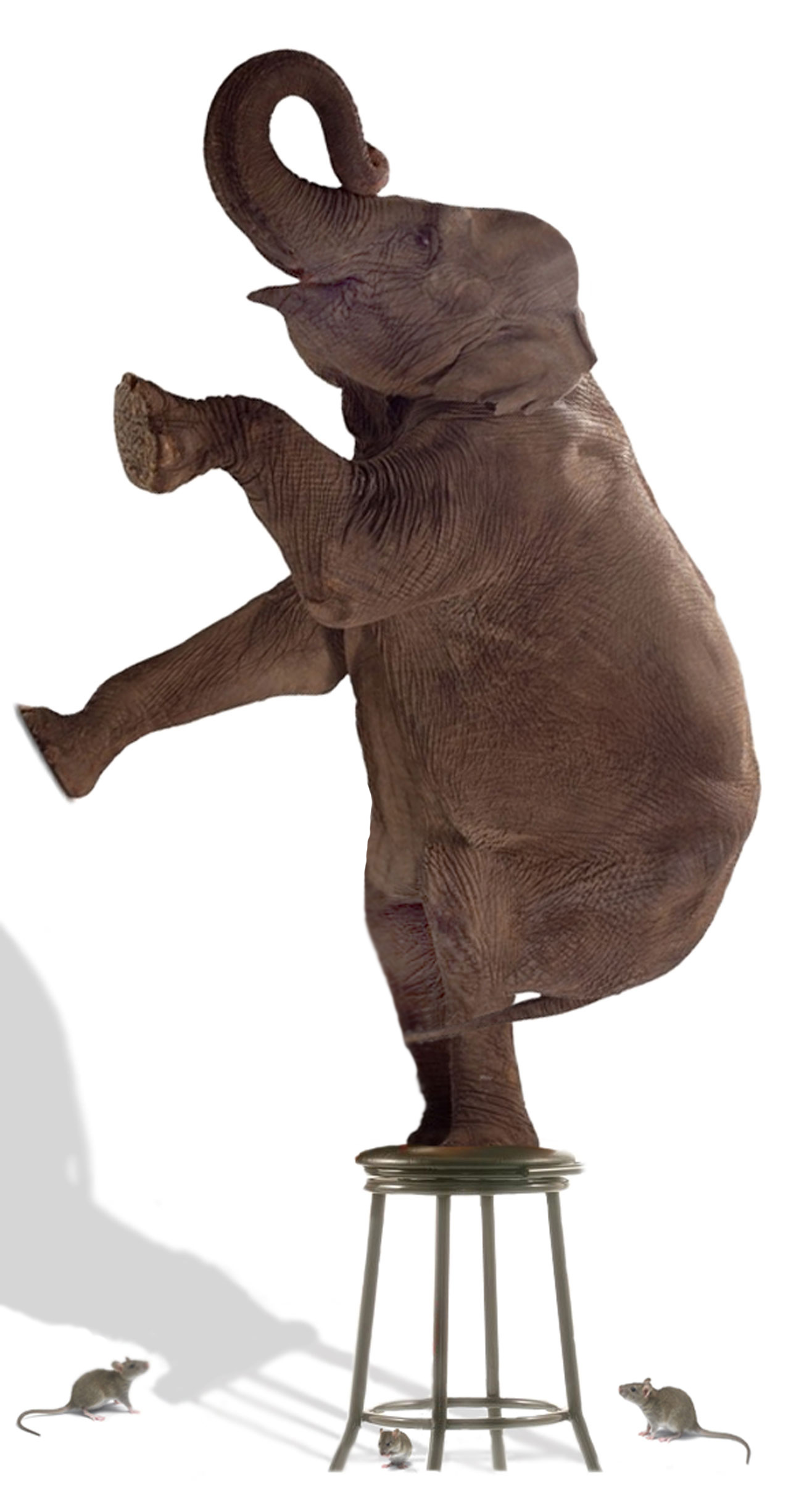 Photoshop Design by DebCam for DesignCrowd (Community Contests) | Design #9042075