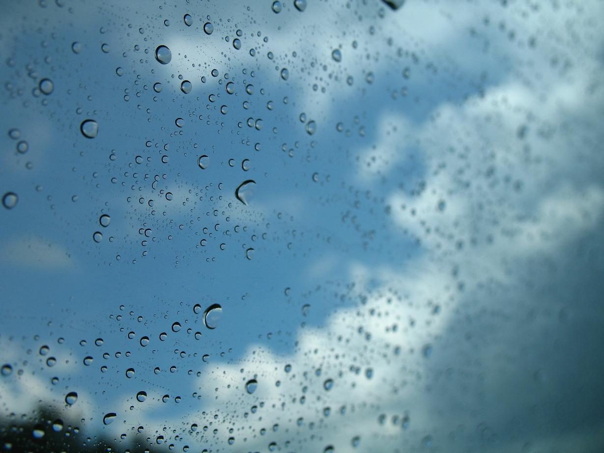 Photography by jersalv1 for DesignCrowd (Community Contests) | Design #9043829