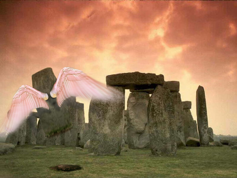 Diseño de Photoshop por Deborahb para DesignCrowd (Community Contests) | Diseño #9043775