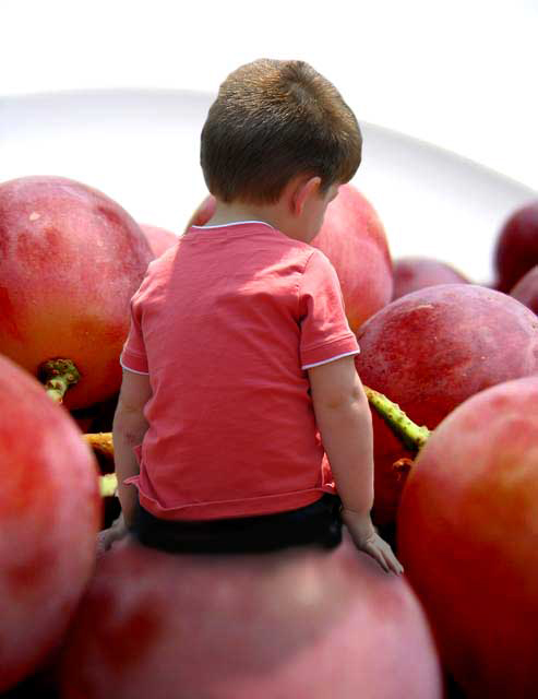 Photoshop Design by albedimus for DesignCrowd (Community Contests) | Design #9030801