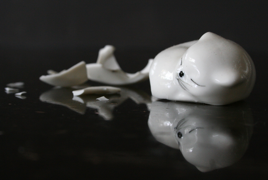 Photography by Vinnied for DesignCrowd (Community Contests) | Design #9036890