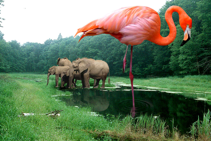 Photoshop Design by creativerajkumar for DesignCrowd (Community Contests) | Design #9030811