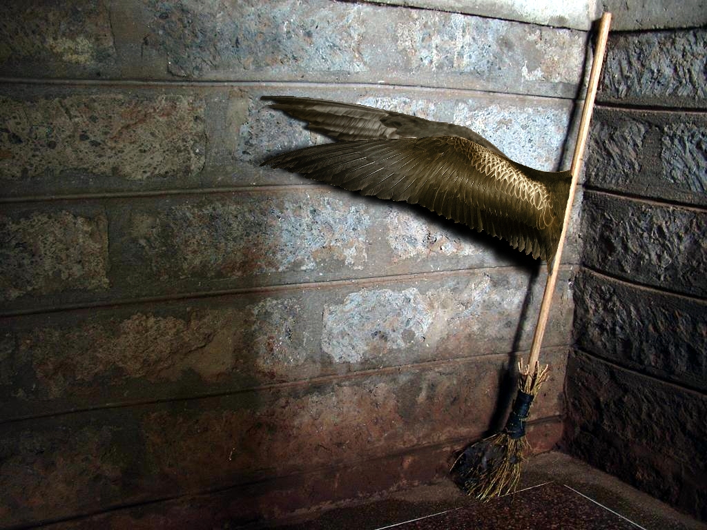 Photoshop Design by moco11 for DesignCrowd (Community Contests) | Design #9043836