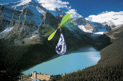 Photoshop Design by ManipUL8 for DesignCrowd (Community Contests) | Design #9043934