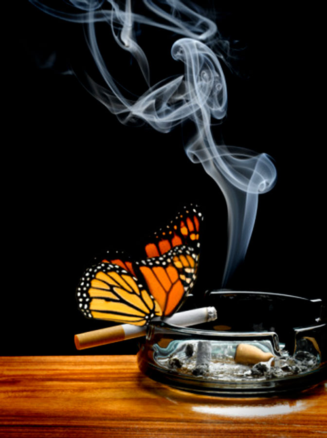 Photoshop Design by tiocoy for DesignCrowd (Community Contests) | Design #9043876