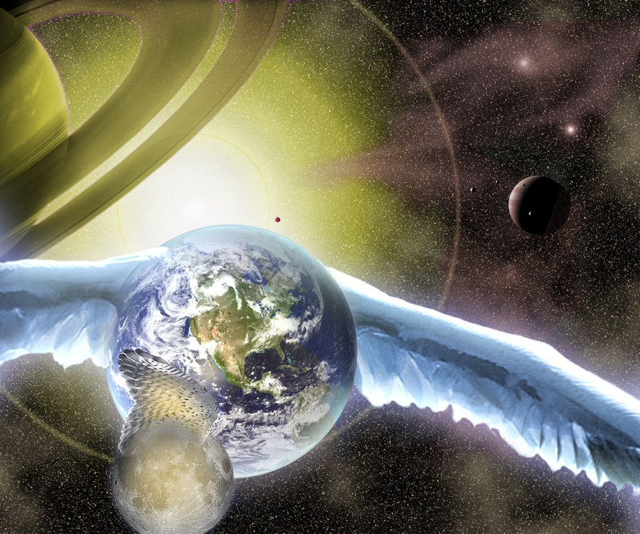 Photoshop-Design von Pelican für DesignCrowd (Community Contests) | Design #9043826